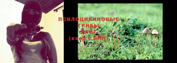 эйфоретик Алзамай
